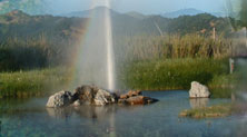  Calistoga Napa Valley Geyser